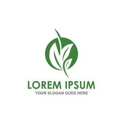 nature leaf logo vector image