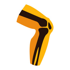 Knee bones and joints on white background, sign and symbol for design, vector illustration