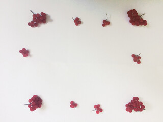 Big and small bunches of red berries are arranged in square. White background. postcard
