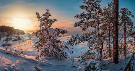 Snowy landscape at sunset, frozen and covered in snow trees in winter - obrazy, fototapety, plakaty