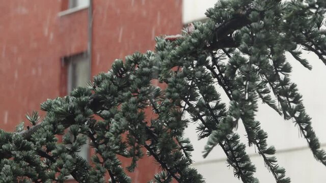 Flaky snow is falling. Street view under snowfall	