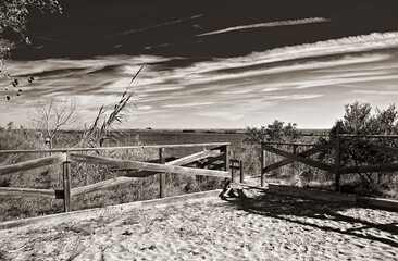 Fototapeta premium Delta del Ebro. Recorrido por los arrozales y la desembocadura del Ebro