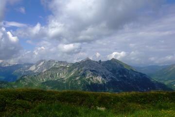 green meadow with grass and yellow flowers with mountains in the background