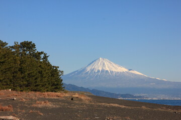 Fototapeta premium 1月の三保の松原、海と富士山を望む絶景