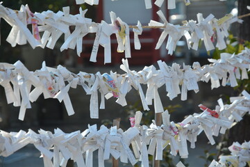 Fototapeta premium 神社