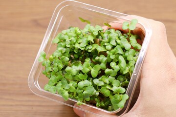 ブロッコリースプラウト