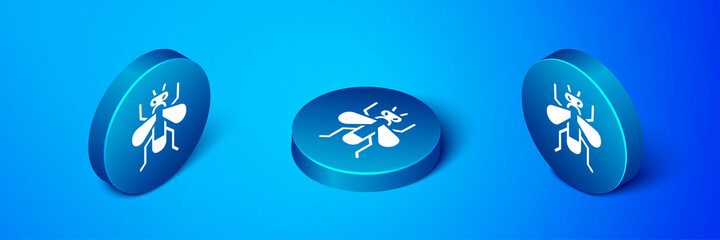 Isometric Insect fly icon isolated on blue background. Blue circle button. Vector.