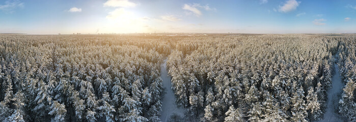 flying drone, Winter landscape, view of snow-covered land and snow-covered forest on a sunny day © Kozlik_mozlik