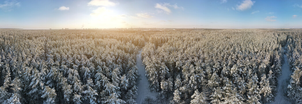 flying drone, Winter landscape, view of snow-covered land and snow-covered forest on a sunny day