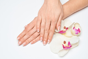 Beautiful Female Hands with French manicure over light grey background