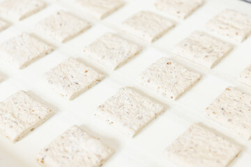 Blanks of puffs with nuts on baking sheet in bakery oven