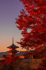 京都　夕暮れの清水寺　三重塔と紅葉　