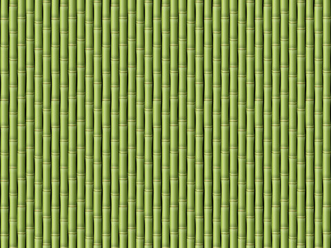 Bamboo background