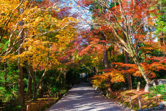 2 210 Best 右京区 Images Stock Photos Vectors Adobe Stock 2 210 Best 右京区 Images Stock Photos Vectors Adobe Stock