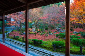 京都　晩秋の圓光寺　額縁庭園　散紅葉