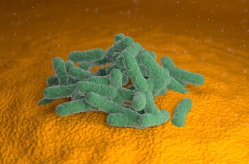 E-coli-bacteria infection 3d render illustration