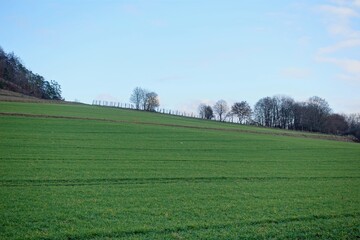Fototapeta premium Treuchtlingen - Landschaft mit Zaun