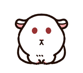 かわいいアルビノモルモット　白