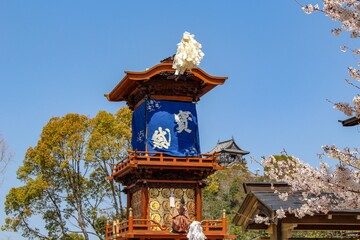 犬山祭と桜