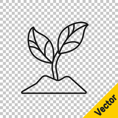 Black line Plant icon isolated on transparent background. Seed and seedling. Leaves sign. Leaf nature. Vector Illustration.