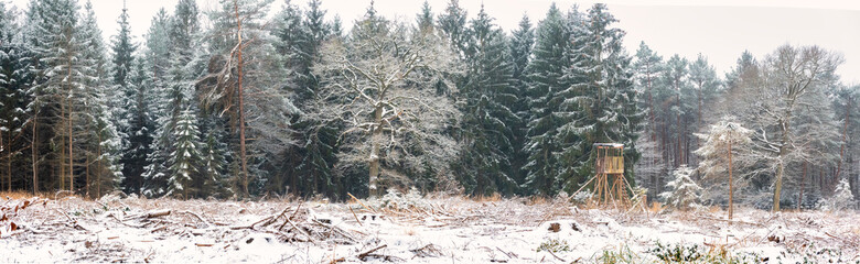Germany, Hunting lookout on a clearing during a winter morning