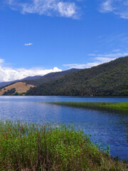 lake in the mountains in summer