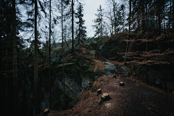 path with stairs in winter forest