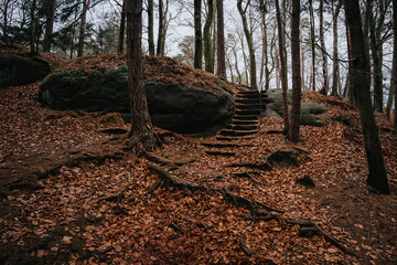 autumn staircase in forest