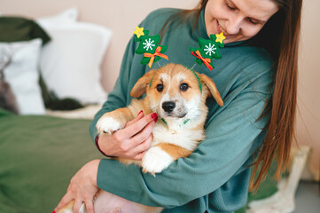 Adorable happy woman and welsh corgi puppy hugging at home at Christmas time.
