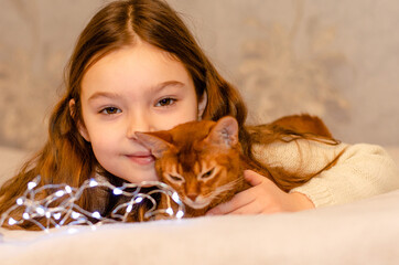 A child, 7-year-old girl with long blonde hair playing with a cat at home on the couch. Pets and children concept. Red cat breed Abyssinian.