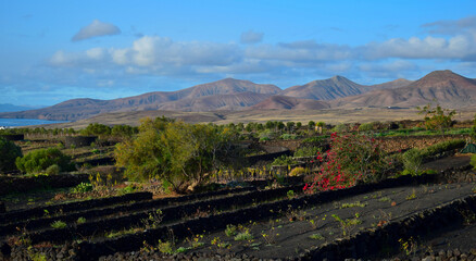View to the volcanic mountains of Los Ajaches. A garden in front. Lanzarote , Spain.