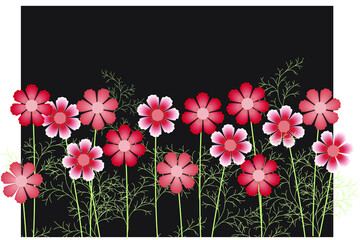 Obraz premium Horizontal curb of red flowers on the background of a black rectangle