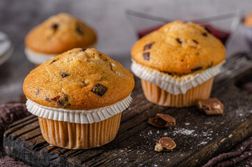 Homemade chocolate muffins