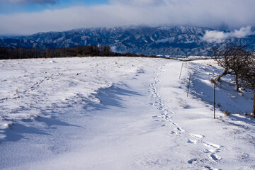 winter landscape in the mountains