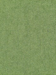 green grass texture
