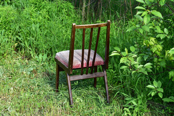 A wooden chair stands in the bushes.