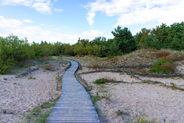 Sandy coast of Palanga, Baltic Sea