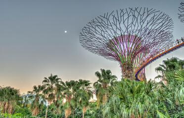 Singapore, Gardens by the Bay, HDR Image