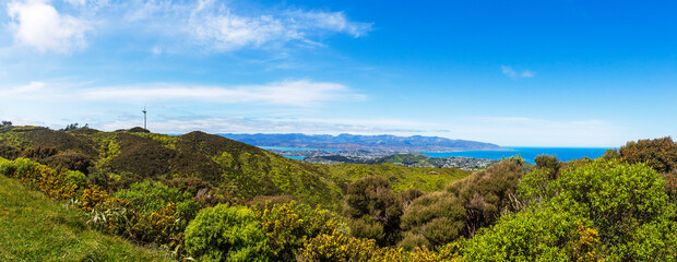 Fototapeta na wymiar View of Wellington city from the Wind Turbine in New Zealand