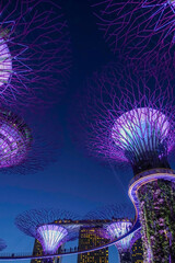 Singapore, Gardens by the Bay, HDR Image