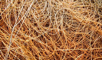 Pile of old small ropes texture background, orange rope or string tangled texture. (For abstract background uses)