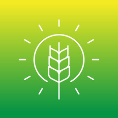 wheat and sun line icon, vector