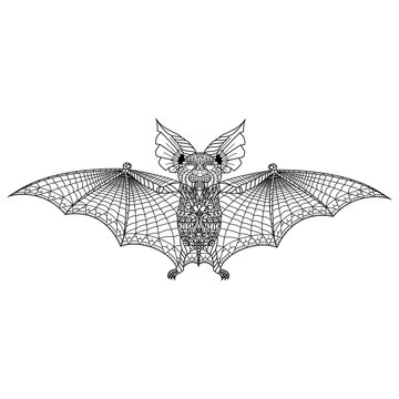 Hand drawn of bat in zentangle style