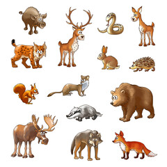 set of wild wood animals, color cartoon animals on a white background, vector
