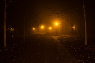 pathway on the foggy night 