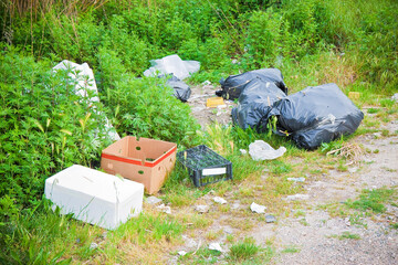 Illegal dumping in the nature; garbage bags and boxes left in the nature