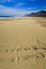 Strand bei Cofete auf Fuerteventura