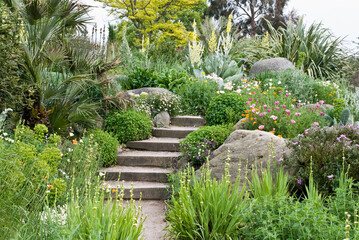 Obraz premium Gardden view - steps