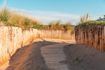 beautiful and bucolic entrance to a beach in sunny summer.