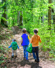 Naklejka na ściany i meble Wandern mit den Kids im frühlingshaften Wald